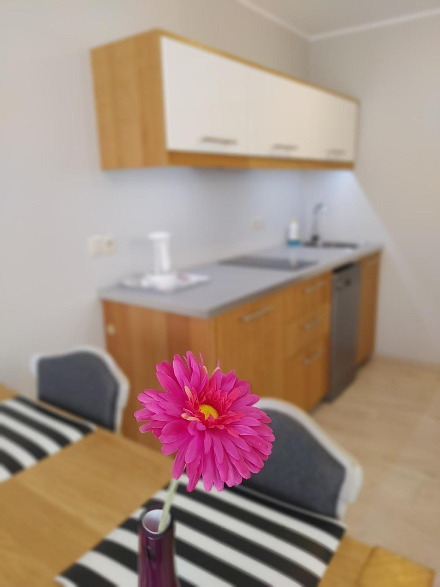 Aparthotel Luna&Sol Jastrzębia Góra Exteriér fotografie